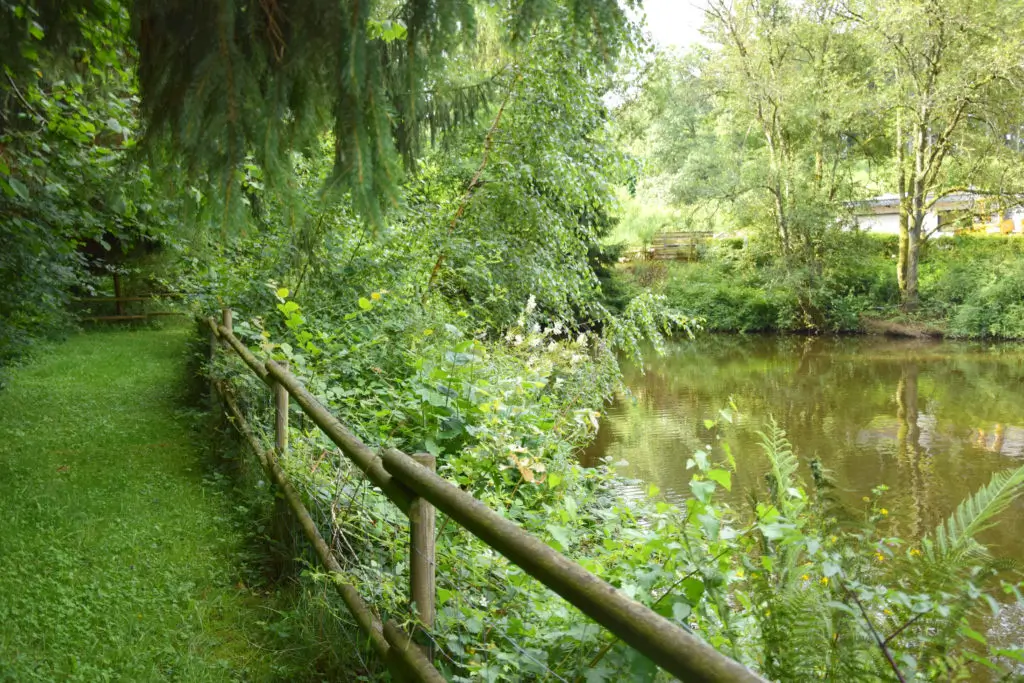 Grüner Weg mit Holzzaun entlang eines Teichs, umgeben von dichtem Laub und Bäumen.